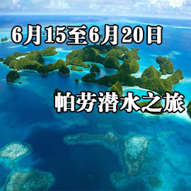 6月15至6月20日帕劳潜水之旅
